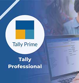 Tally Professional